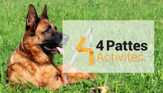 Logo &laquo;&nbsp;4 pattes activités&nbsp;&raquo;